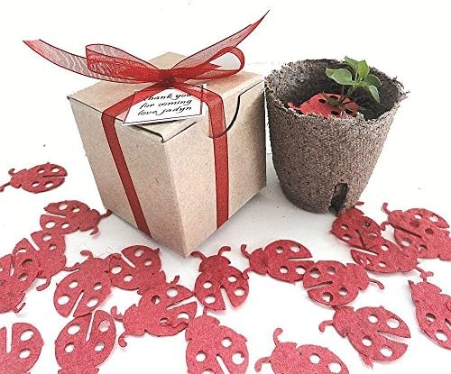 Plantable Flower Garden Kit Personalized Ladybug Themed Birthday Party Favors (Set of 6)