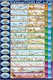 Poster, The Evolution of Life, 24 in X 36 in
