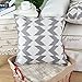 CaliTime Canvas Throw Pillow Cover Case for Couch Sofa Home Decoration Ikat Malposed Zigzag Chevron Geometric 18 X 18 Inches Gray
