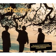 Echobrain