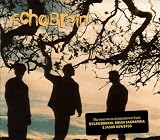 Echobrain