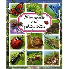 L'imagerie des petites b�tes