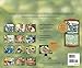 Lang 2017 Cats in The Country Wall Calendar, 13.375 x 24 inches (17991001899)