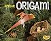 Books : Difficult Origami (Snap)