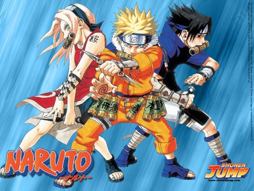 Naruto TV Series Collections (1-8)