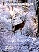 Voice of The Hunting Gods