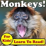 Monkeys! Learning About Monkeys - Monkey Photos And Facts Make It Fun! (Over 45+ Pictures of Different Monkeys)