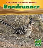 Roadrunner