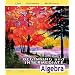 Beginning and Intermediate Algebra (4th Edition)