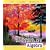 Beginning and Intermediate Algebra (4th Edition)