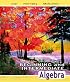 Beginning and Intermediate Algebra (4th Edition) (Lial Developmental Mathematics Hardback Series)