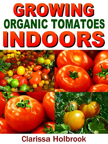 Growing Organic Tomatoes Indoors (Easy Indoor Organic Gardening)