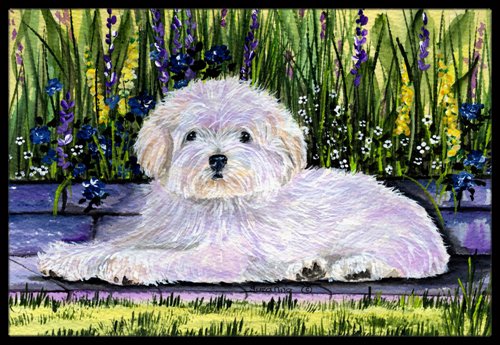 Caroline's Treasures Coton De Tulear Indoor Outdoor Doormat, 18