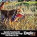 Eagle Pack Natural Dry Large Breed Dog Food, Chicken & Pork, 15-Pound Bag