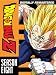 Dragon Ball Z: Season Eight (Babidi & Majin Buu Sagas)