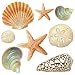Wallies 13641 Seashore Peel and Stick Vinyl Decal
