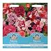 Mr Fothergill's Seeds Petunia A Collection