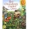 Plants and growing things- picture books