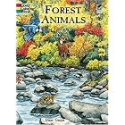 Forest Animals Coloring Book (Dover Coloring Books) by Dianne Gaspas