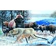 Guardian of the Herd 550pc Jigsaw Puzzle by Kevin Daniels