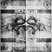 Audio Secrecy [Vinyl LP]