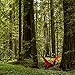 Camping Hammock, Lightweight Nylon Parachute Travel Hammocks, Double and Single Size, by HomEco