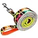 Blueberry Pet 2 Colors Southwestern Vintage Tribal Print Dog Leash with Soft & Comfortable Handle, 5 ft x 3/4