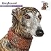 Greyhound 18 Month 2016 Wall Calendar
