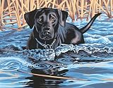 Dimensions Crafts Paint By Number Kit 14 &acute; X11 &acute; Cold Water Warm Heart 91210, 1 Item ( s ) / Order - B0006FUGTY