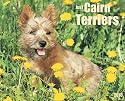 Just Cairn Terriers 2010 Calendar