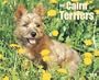 Just Cairn Terriers Calendar