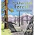 The Charcoal Forest: How Fire Helps Animals & Plants