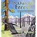 The Charcoal Forest: How Fire Helps Animals & Plants