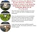 The Ultimate How To Earn Extra Money, Inner Game and Sales Models for Fitness Videos Biz 3 CD Package