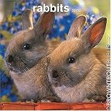 Rabbits 2009 Square Wall Calendar