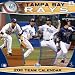 2011 Tampa Bay Rays Calendar