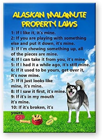 Alaskan Malamute Property Laws Fridge Magnet