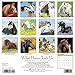 What Horses Teach Us 2016 Calendar
