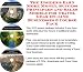 Book The Insider's Earn More Money, Success Principles and Sales Models for Travel Gear On-line Businesses 3 Course Pack