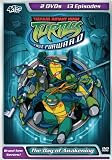 Teenage Mutant Ninja Turtles: Fast Forward - The Day of Awakening v.2