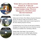 The Online Business Setup, Cheap Marketing, Sales Letters for Wine Making Supplies... by  J Bowman J Orr