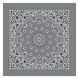 Paisley Grooming Bandannas Gray