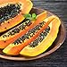 EXFOLIATING LARGE FOOT MASK PAPAYA & CHAMOMILE EXTRACT - 1 pair 
