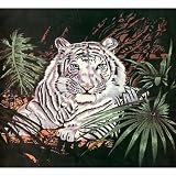 White Tiger Blanket