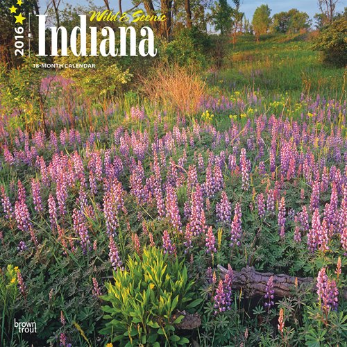 Indiana, Wild & Scenic 2016 Square 12x12