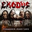 Hammer And Life
