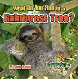 What Do You Find in a Rainforest Tree? (Ecosystems Close-Up)
