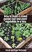 How To Build A Raised Garden Bed And Plant Vegetables In A Day