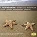 Liebestraum - Romantische Klaviermusik (Classical Choice)