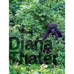 Diana Thater. Gorillagorilla